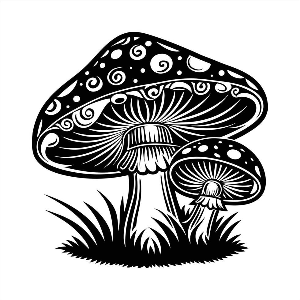 Mystical Mushrooms Discover vector