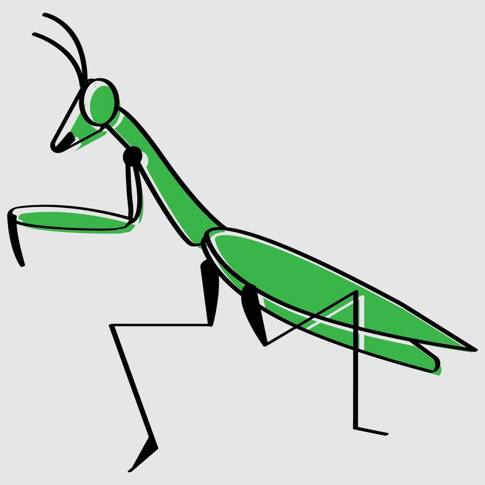 insect illustration design vector