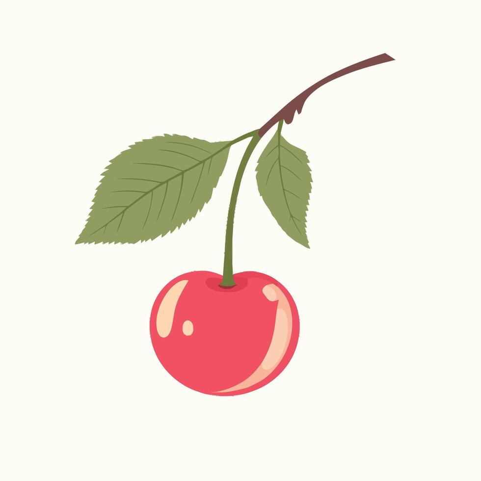 Fresh Red Cherry with Green Leaf vector