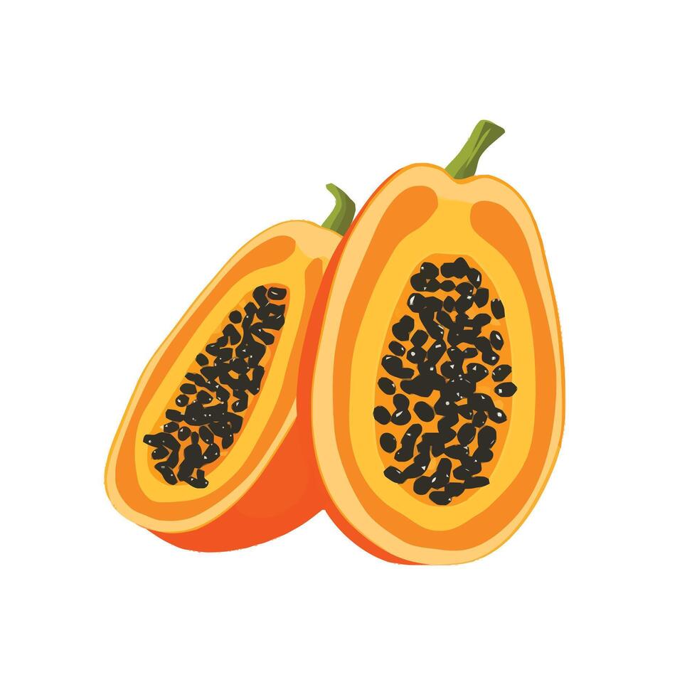 Tropical Papaya Halves Highlighting Freshness vector