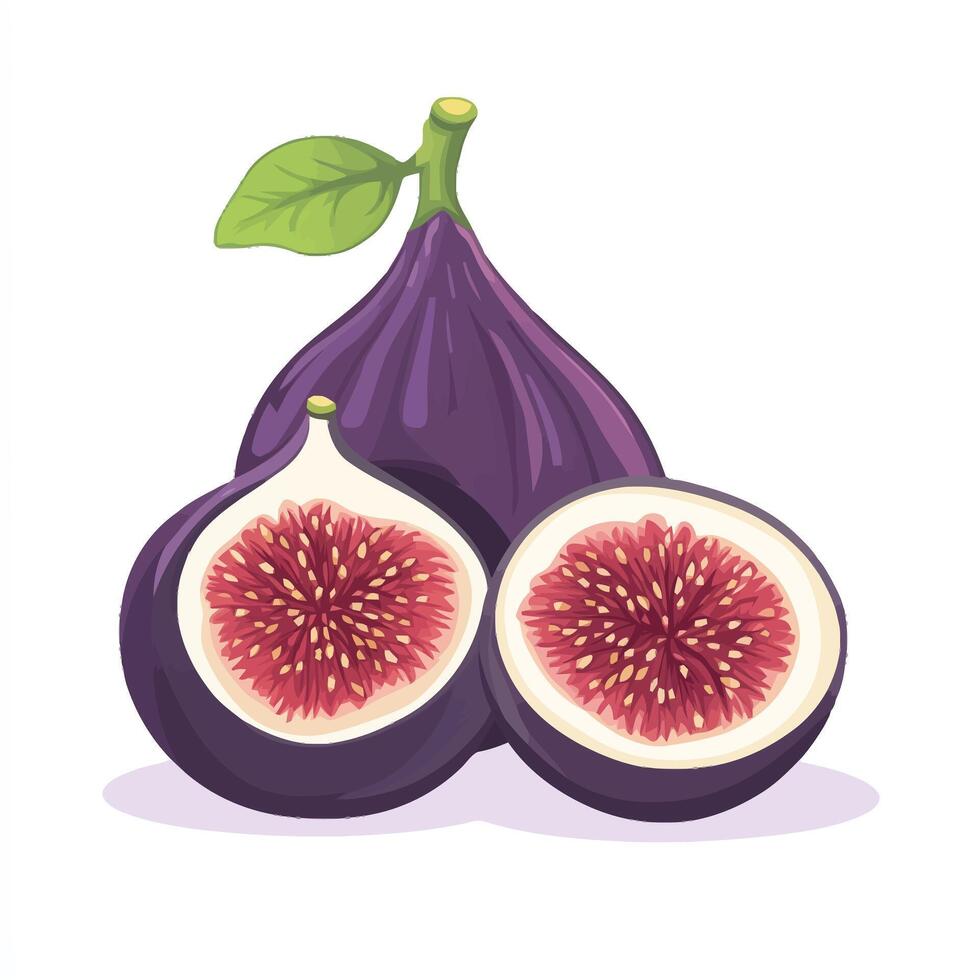 Exotic Purple Fig Sliced Open for Detail vector