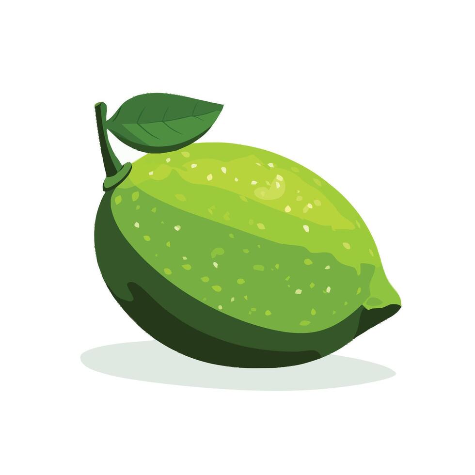 Ripe and Zesty Green Lemon vector