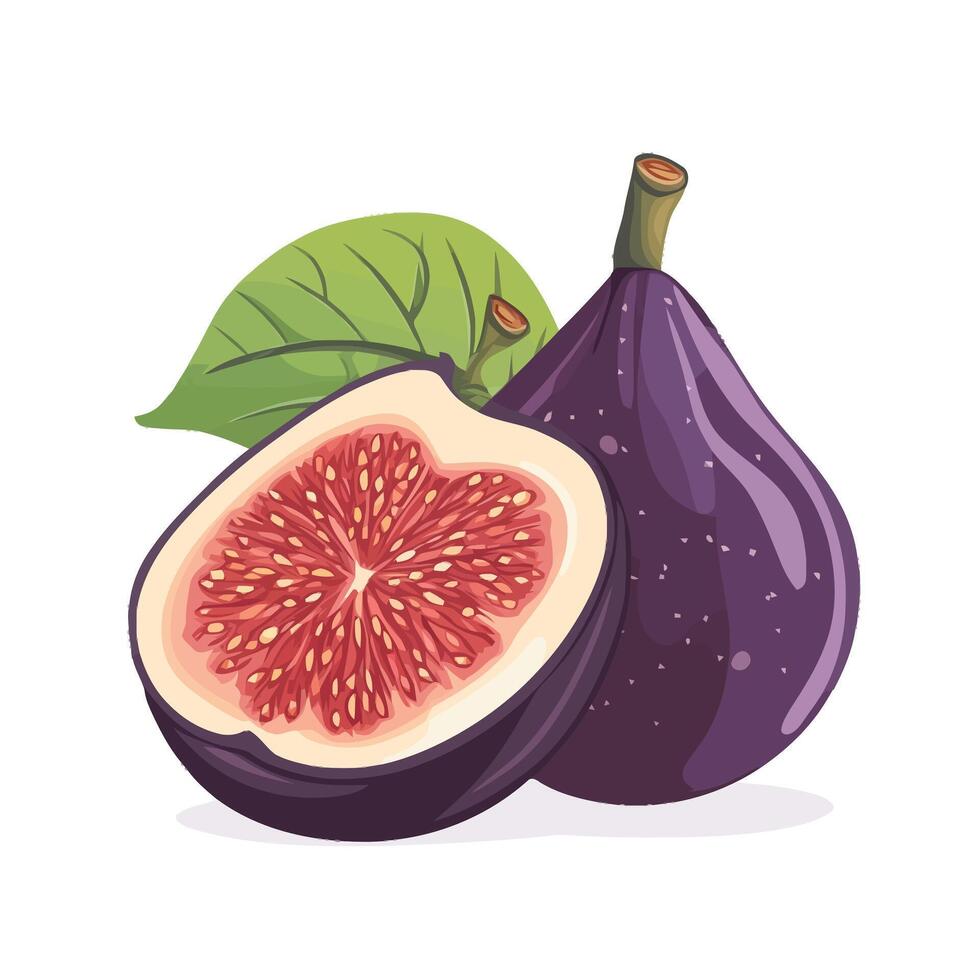 Freshly Cut Purple Fig Showcasing Natural Beauty vector