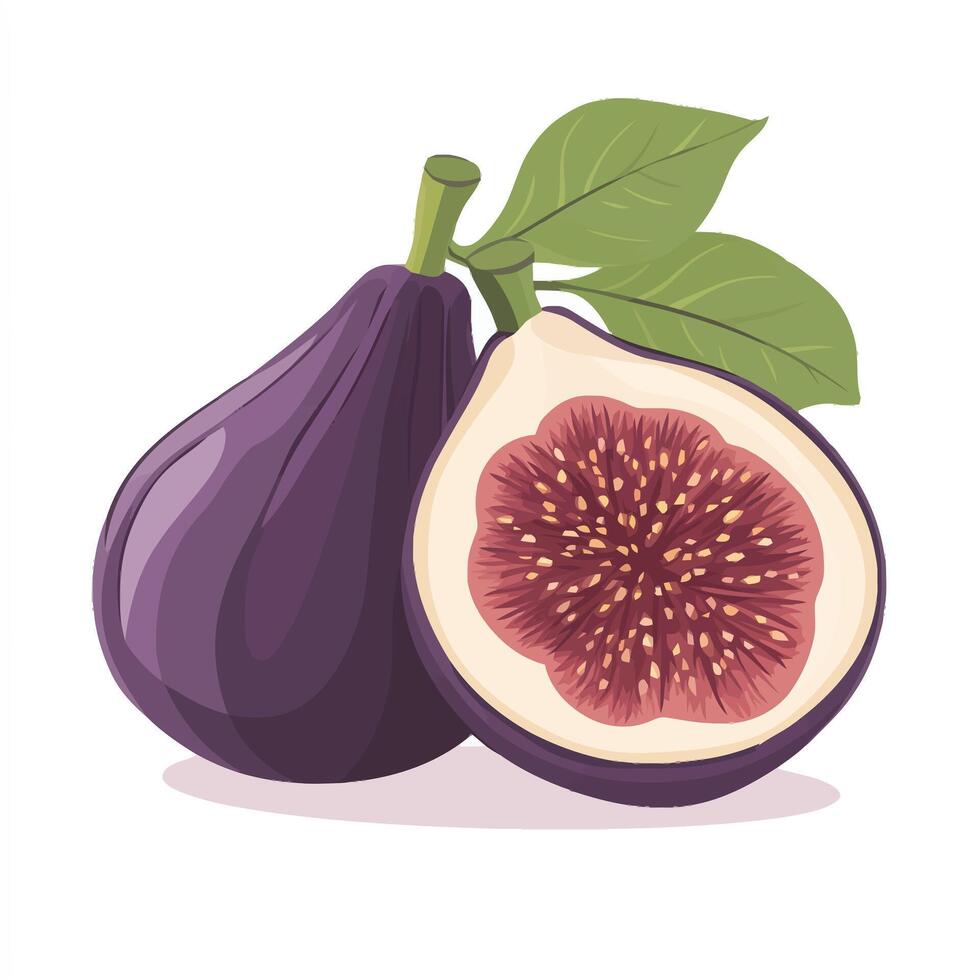 Sweet Ripe Fig Cut in Half for a Natural Look vector