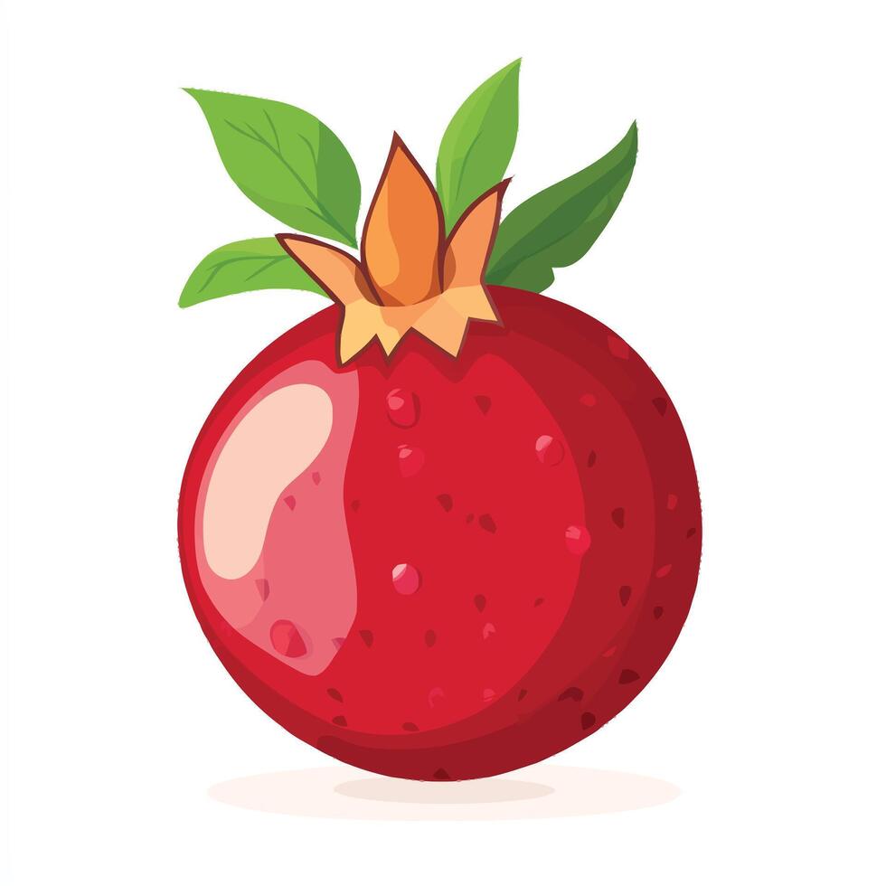 Ripe and Shiny Pomegranate Highlighting Freshness vector