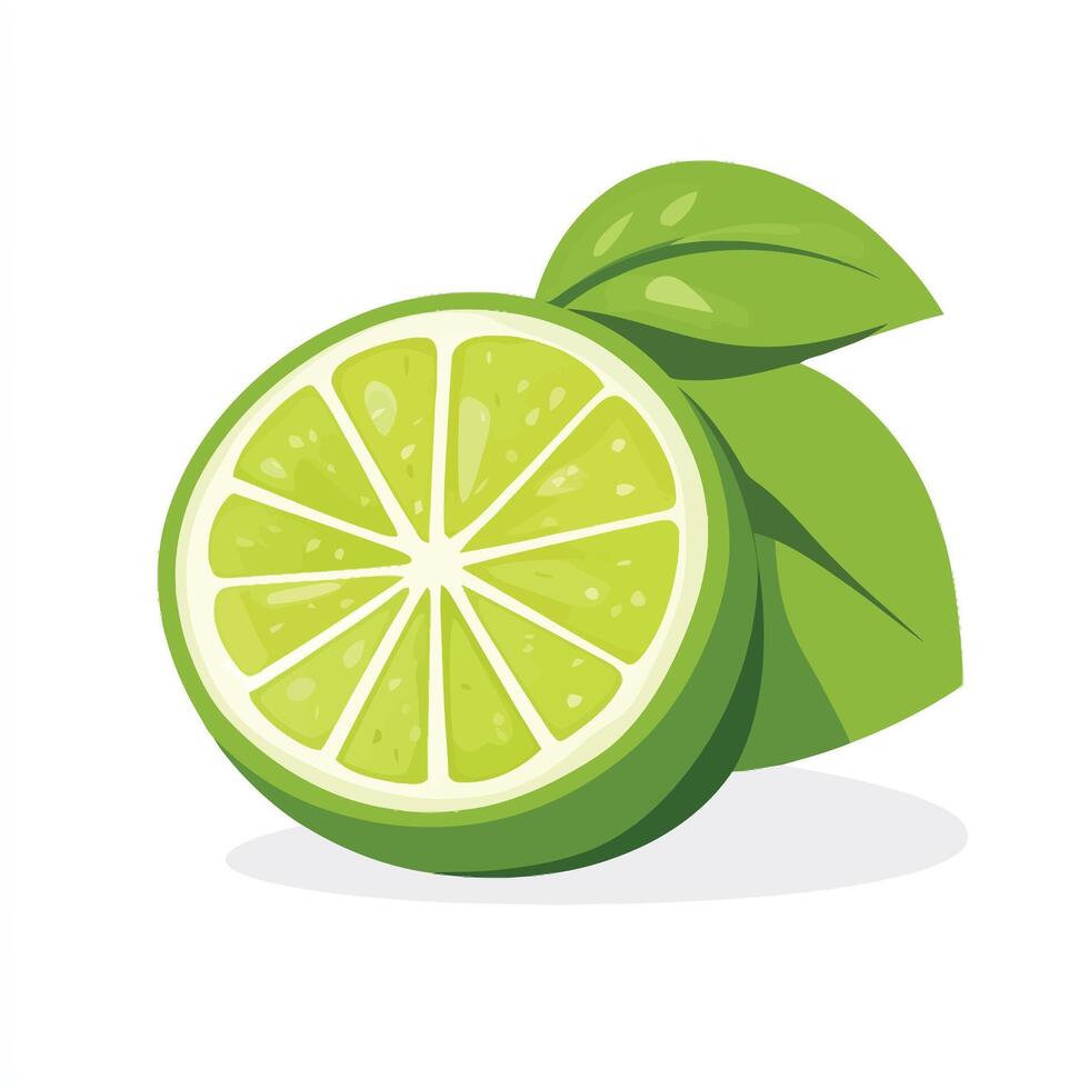 Healthy Green Lemon Halves on White vector