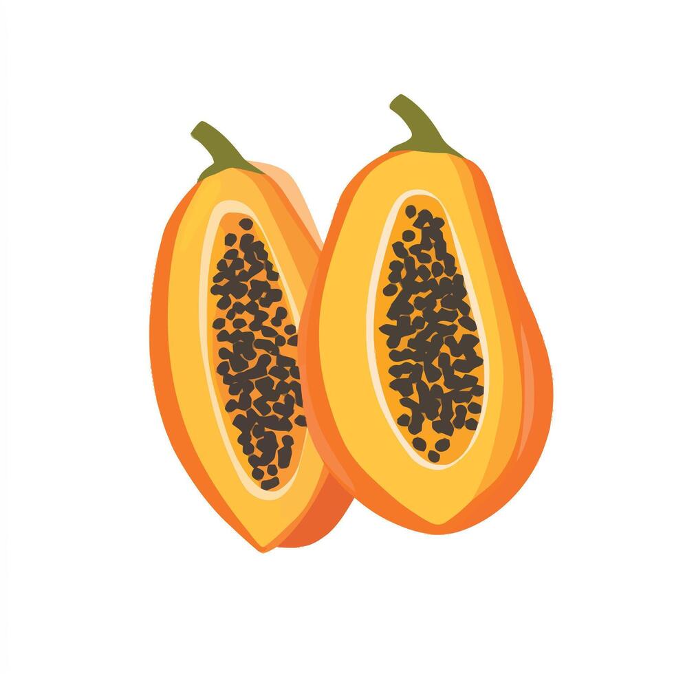 Freshly Sliced Papaya with Seed Interior vector