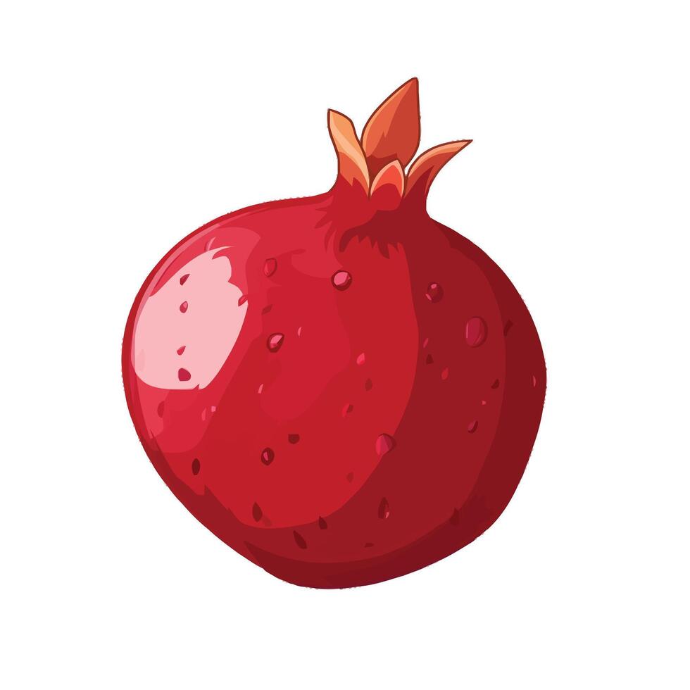 Beautiful Whole Pomegranate with Rich Red Hue vector