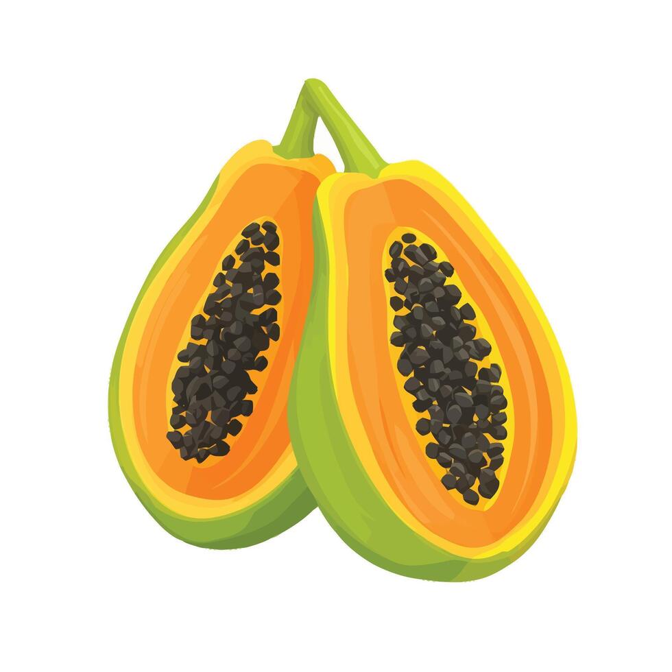 Ripe and Fresh Papaya with Seeds on White vector