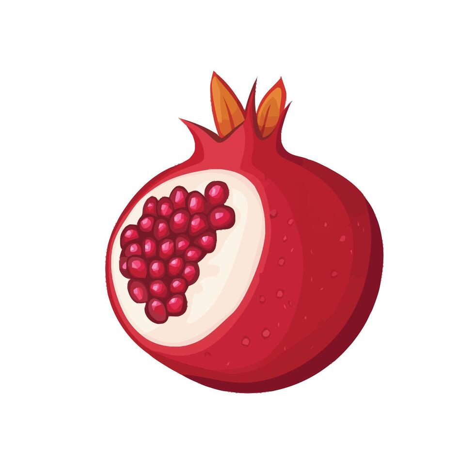 Glossy Red Pomegranate Full of Freshness vector