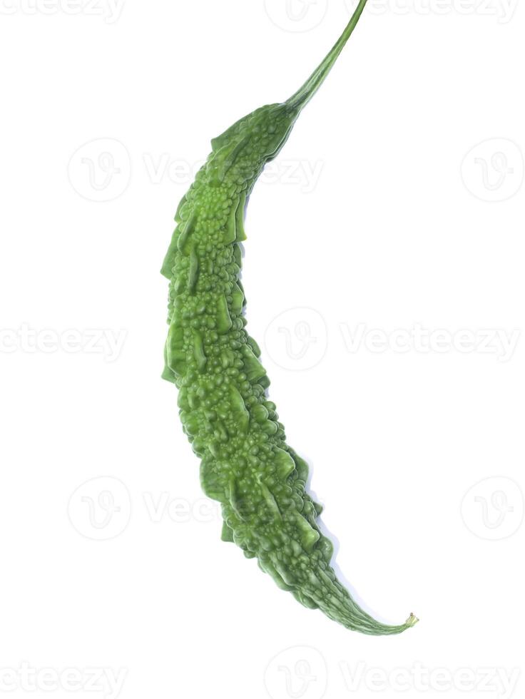 Close up fruit of Bitter Cucumber on white background. photo