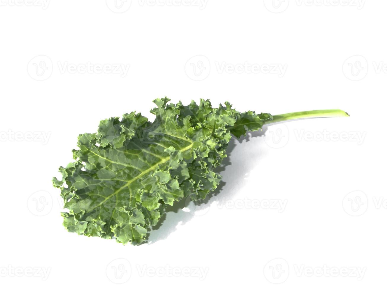Close up kale leaves on white background. photo