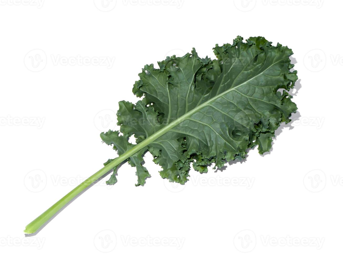 Close up kale leaves on white background. photo
