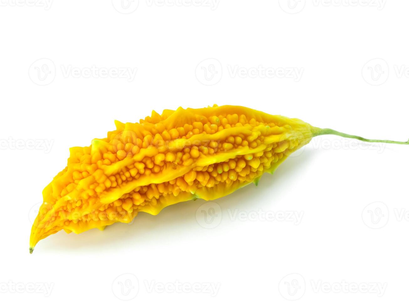 Close up ripe Yellow fruit of Bitter Cucumber. photo
