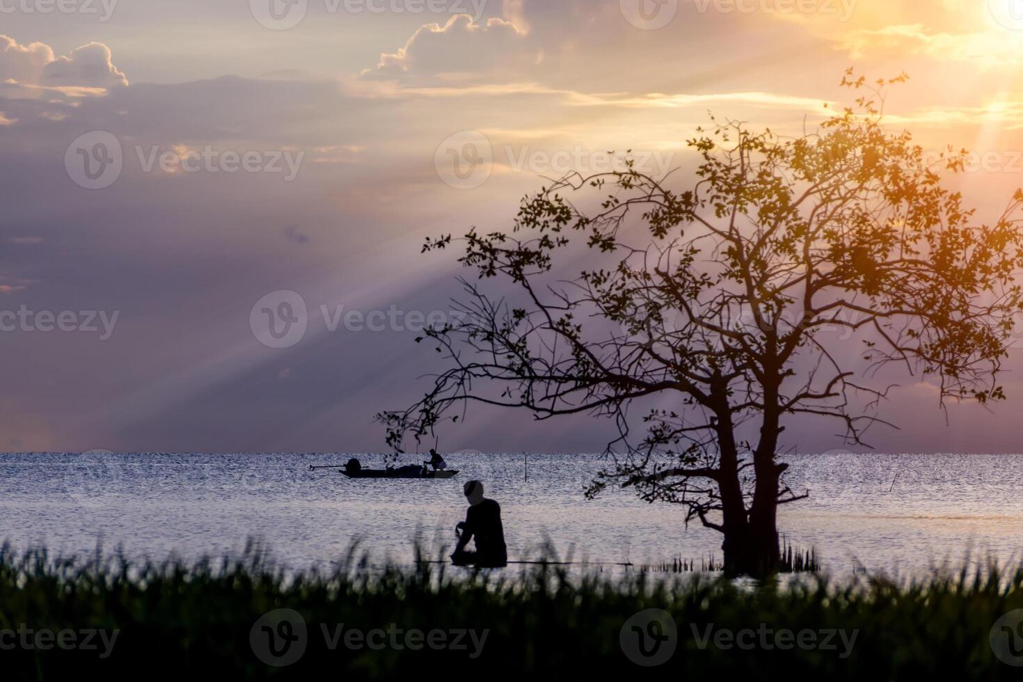 Silhouette of tree and fishermen in the lake with sunlight. photo