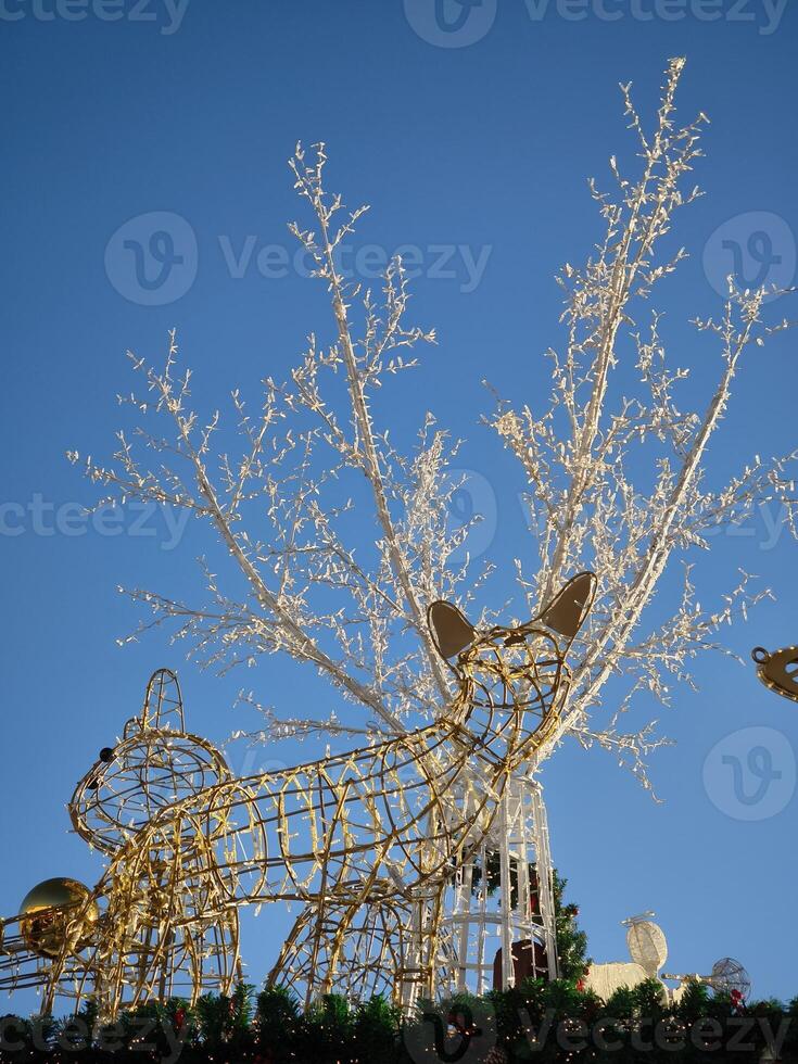 Christmas reindeer decoration shining at ceske budejovice market in ceske budejovice, czechia photo