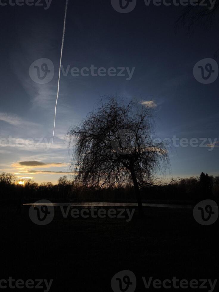 Airplane leaving contrail over a Bagr lake at sunset in Stromovka ceske budejovice, czechia photo
