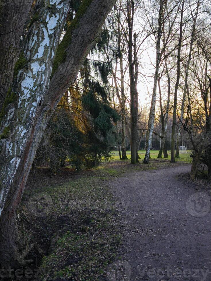 Pathway winding through trees at sunset in park Stromovka budweis, czechia photo