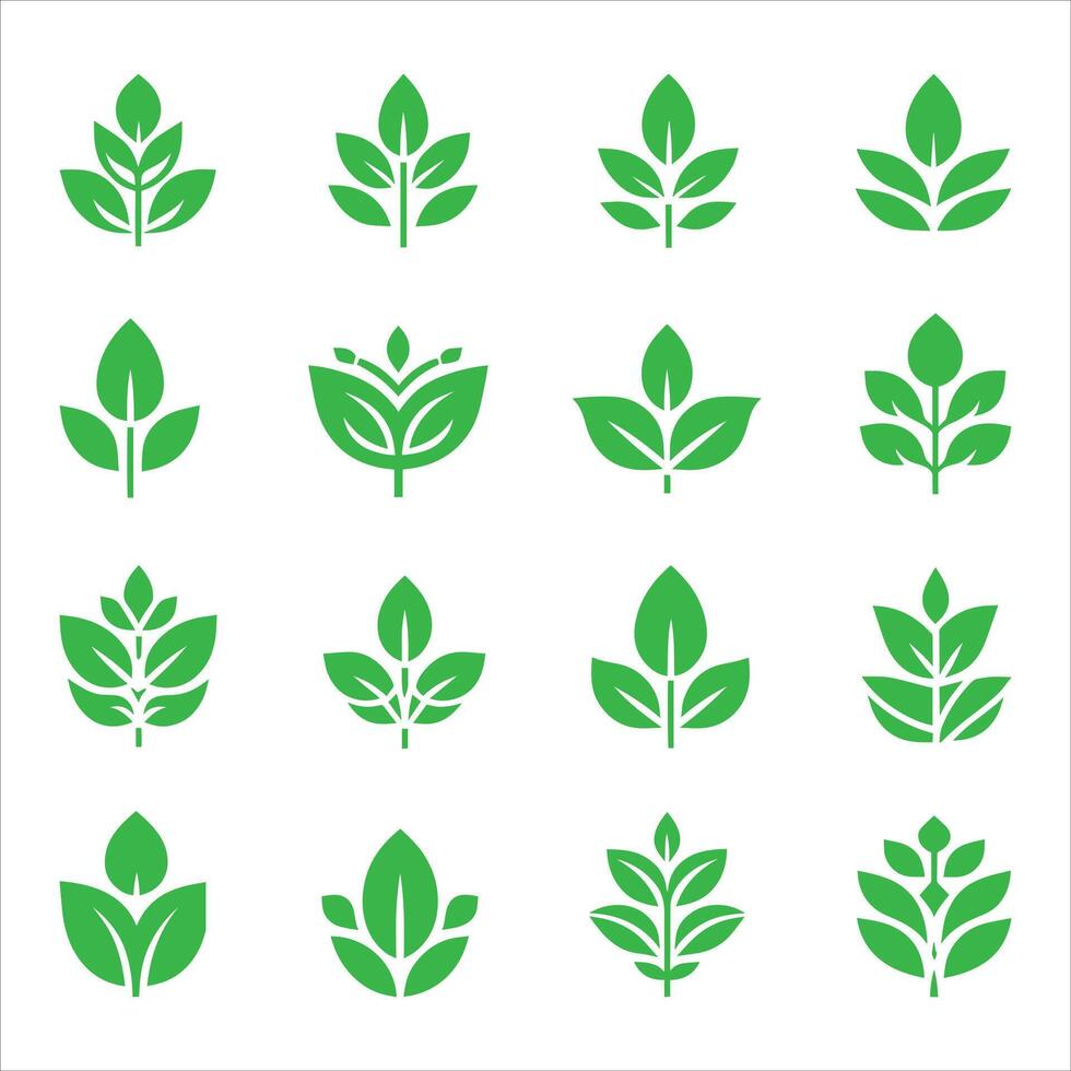 Green leaves icons set vector