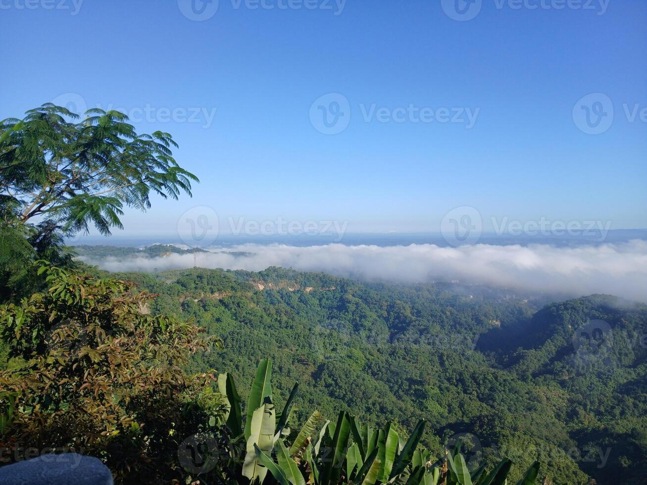 Beautiful nature scenery photo
