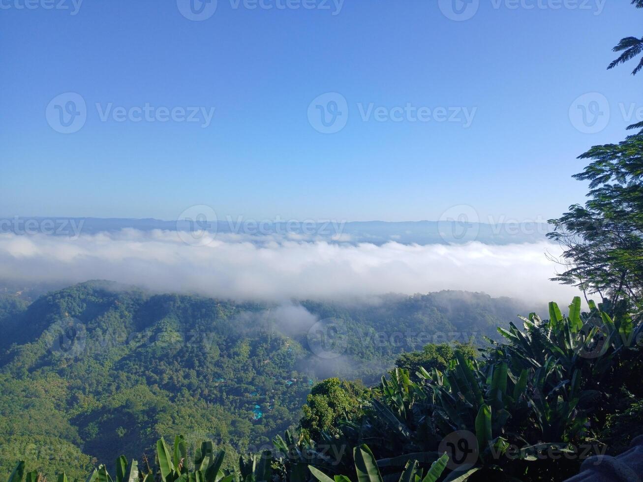 Beautiful nature scenery photo