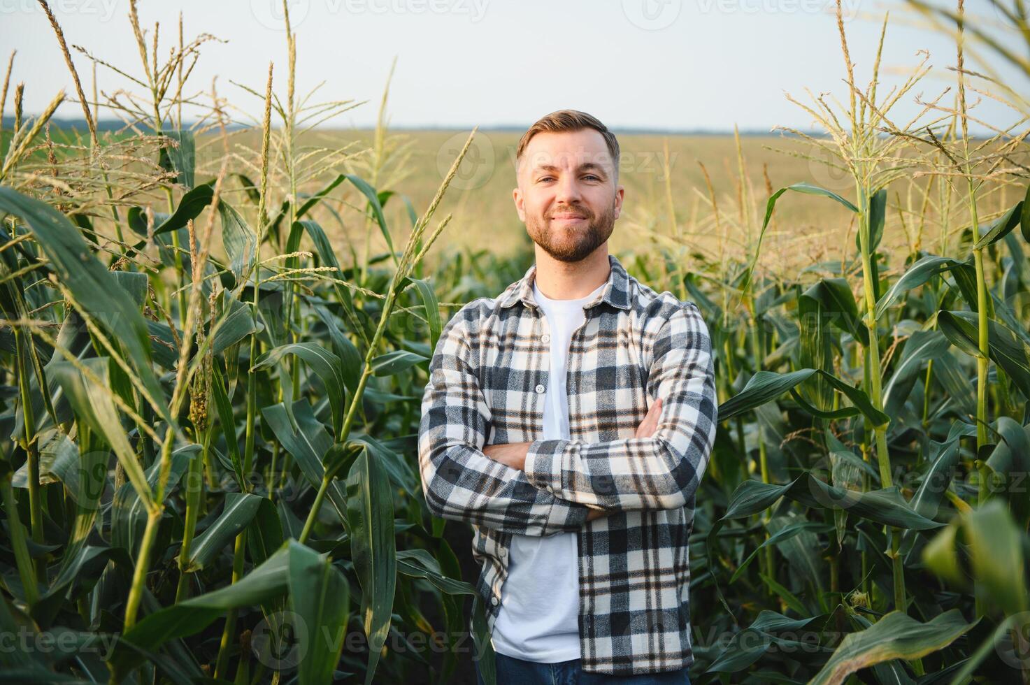 Yong handsome agronomist in the corn field and examining crops before harvesting. Agribusiness concept. agricultural engineer standing in a corn field photo