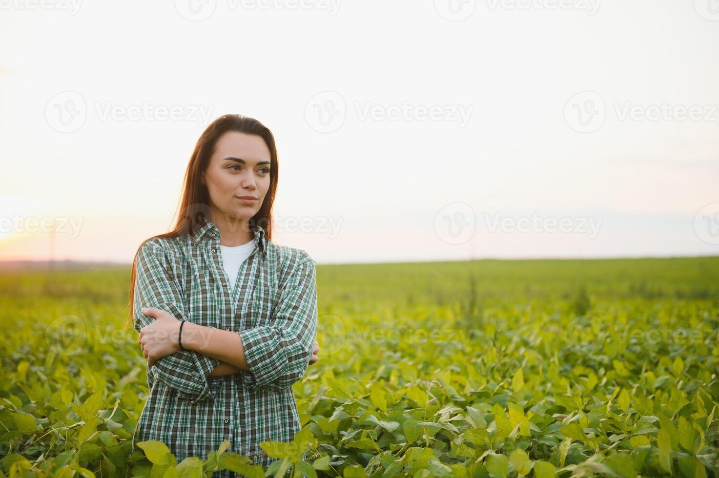 A young female farmer in a soybean field at sunset photo