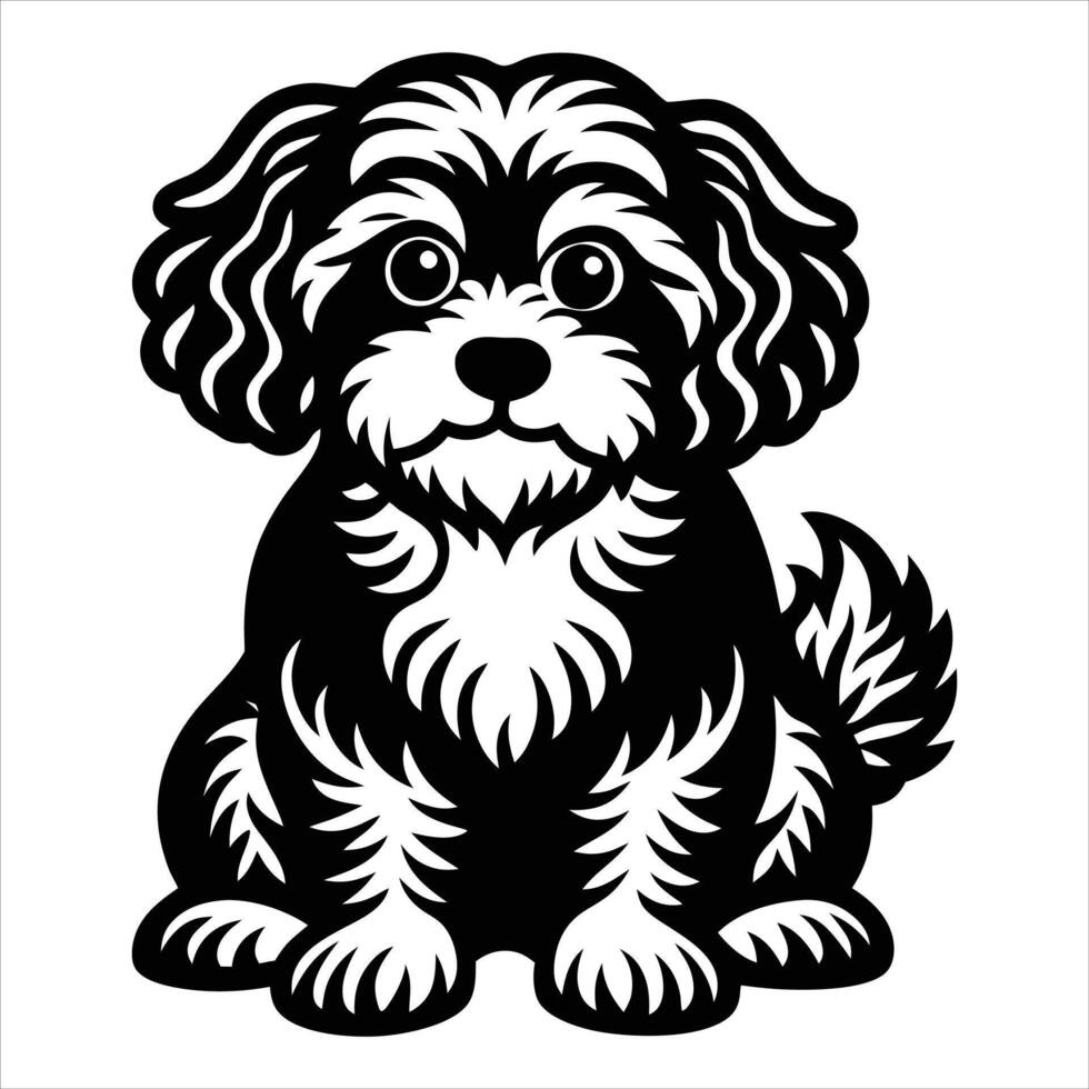 Bichon Frise Sitting dog vector