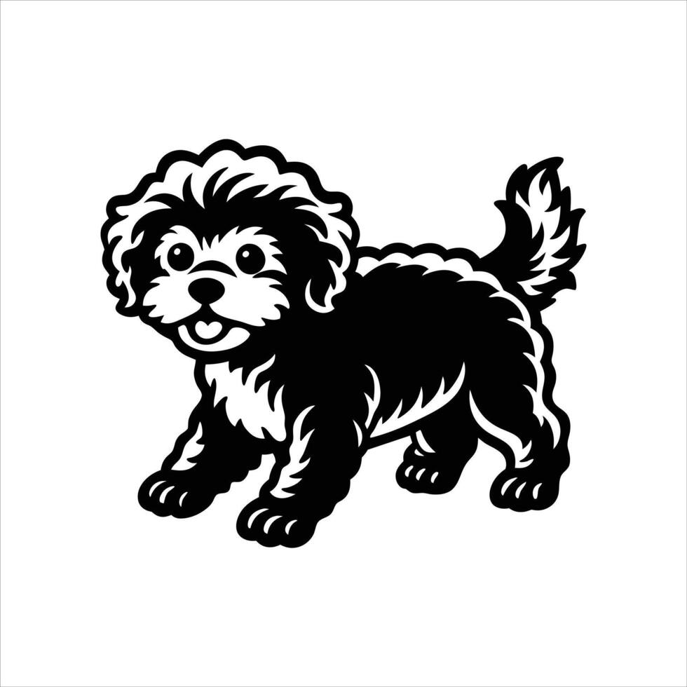 Bichon Frise running vector