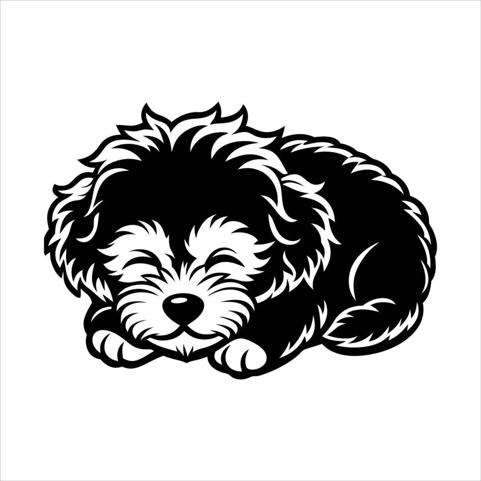 Bichon Frise The Snuggle Expert vector