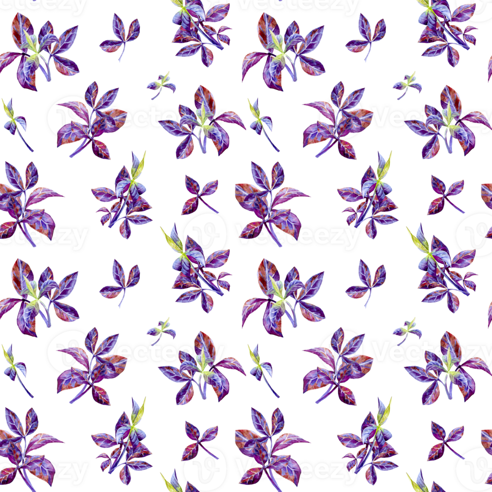 Purple basil leaves pattern for textile. Hand painted leaves for seamless pattern separated from background png