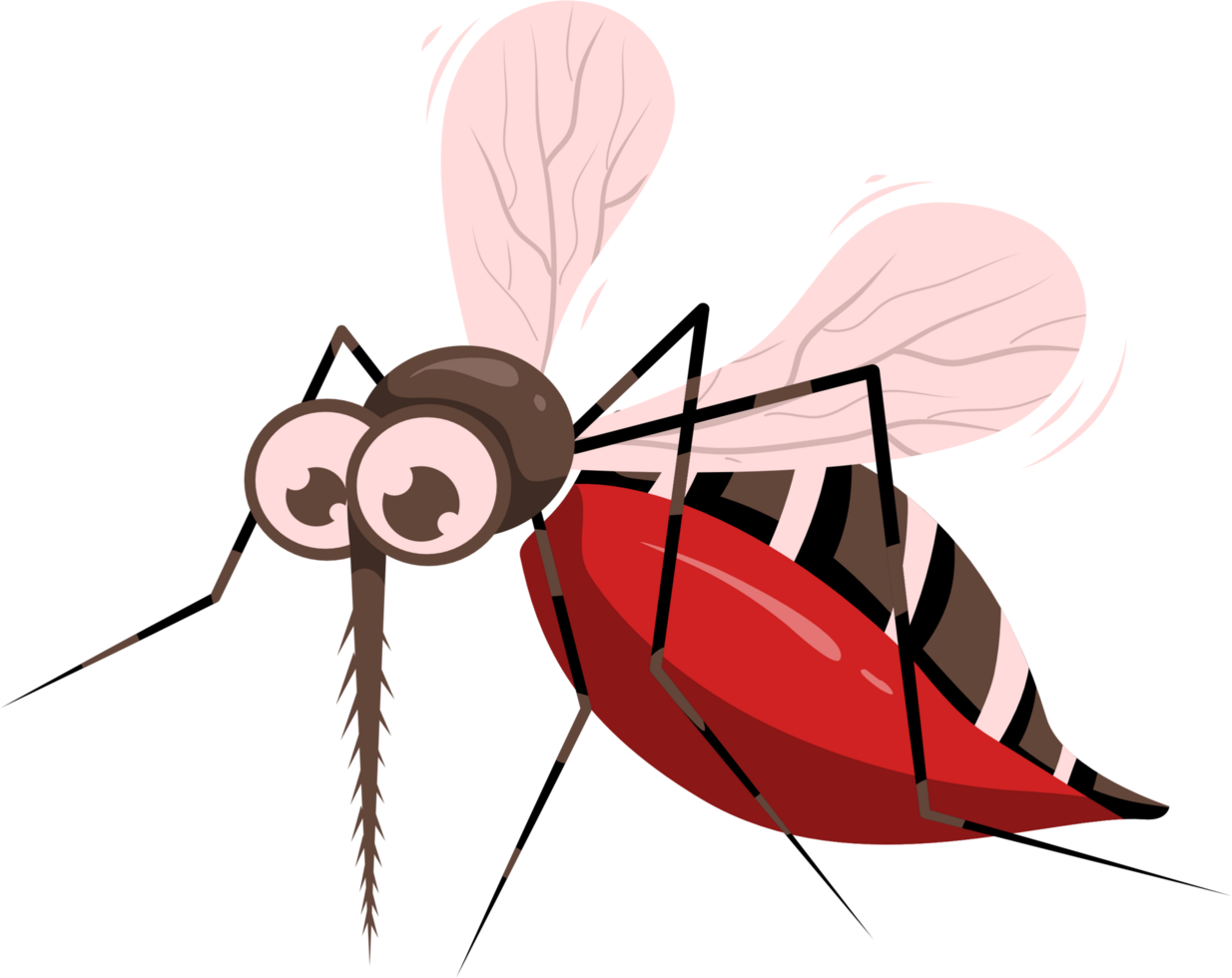 Mosquito with full stomach illustration png