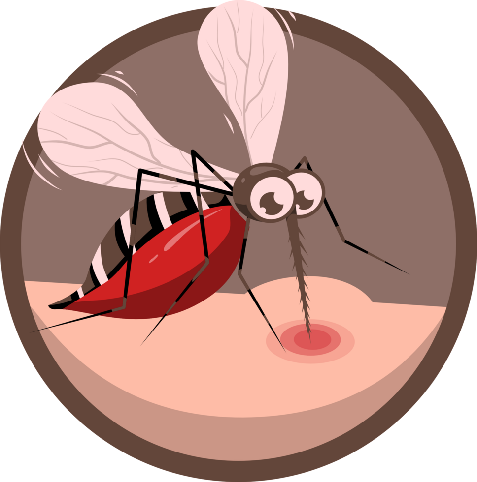 Mosquito bite skin illustration png
