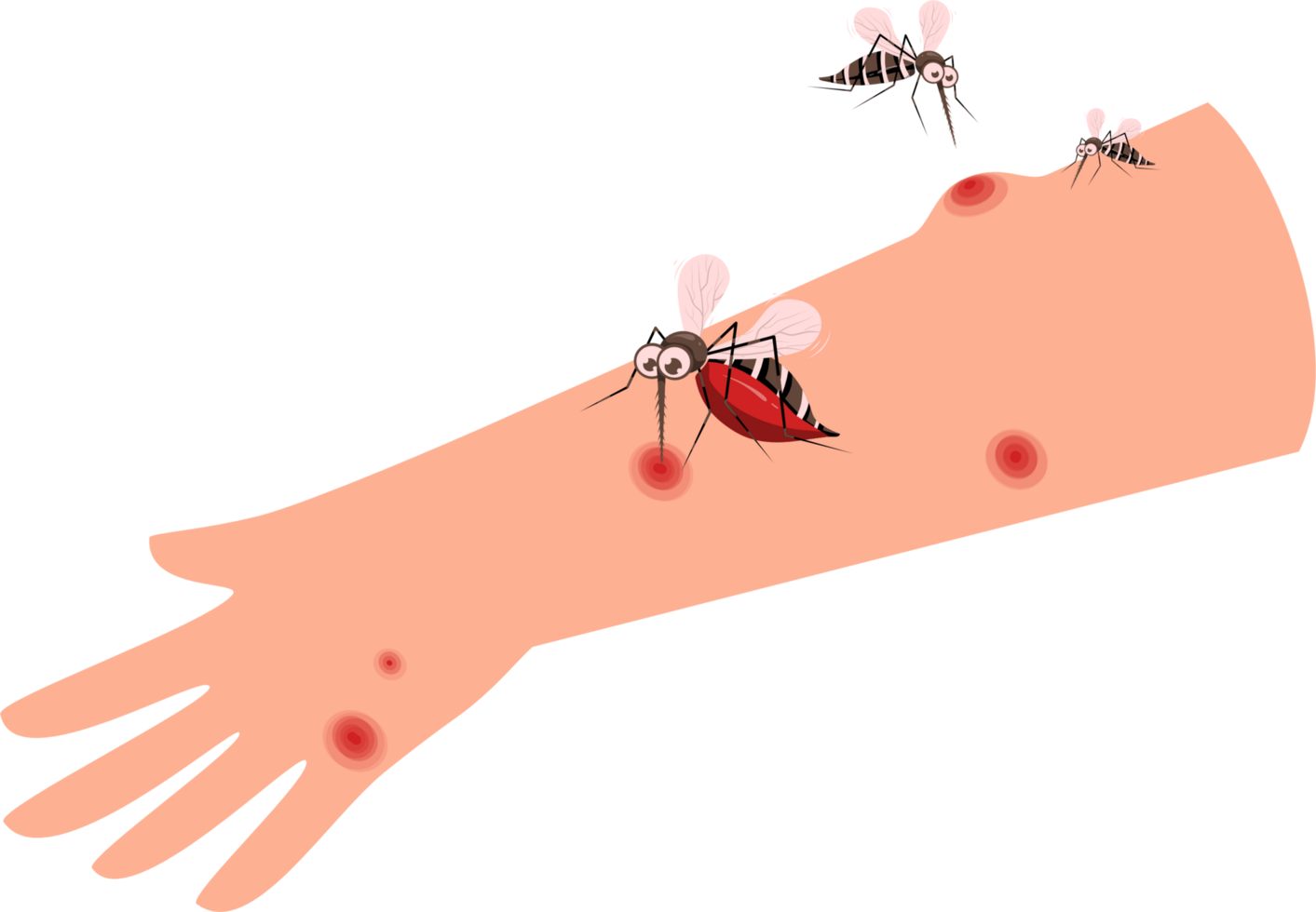 Mosquito biting hand illustration png