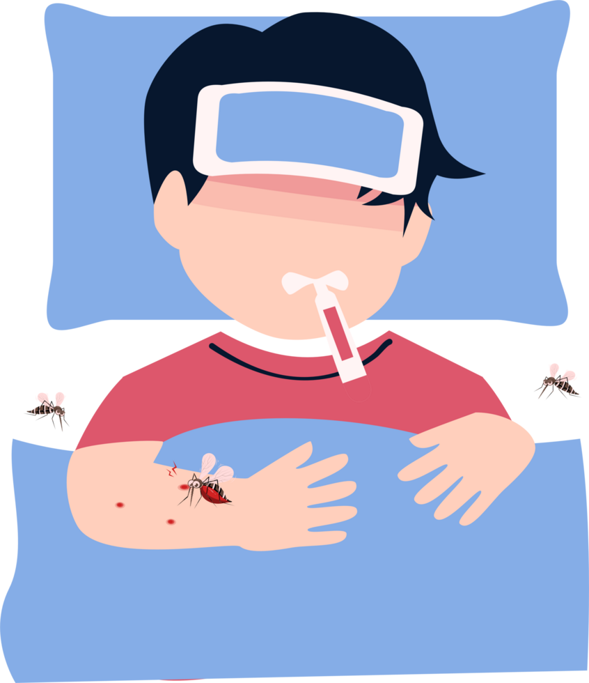 Dengue fever illustration png