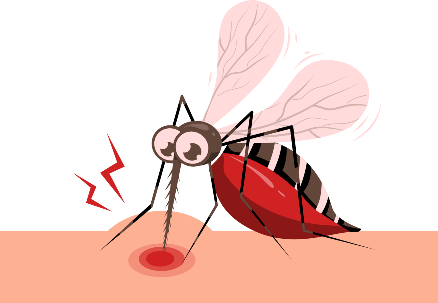 Mosquito sucking blood illustration png