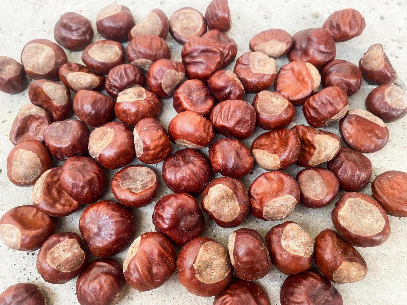 Peeled fruits of brown chestnuts photo
