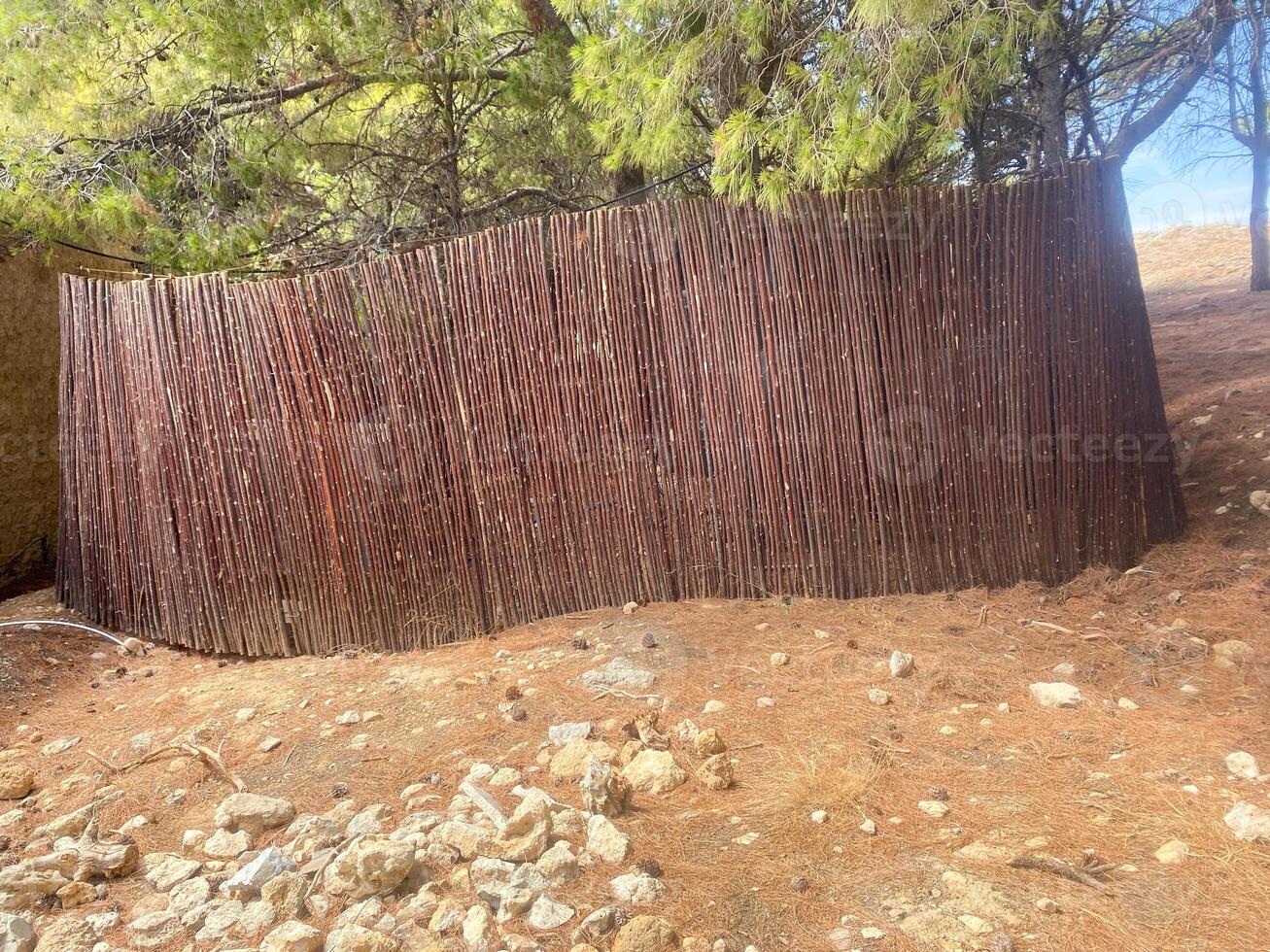 Fence made of vectors of trees in the forest photo