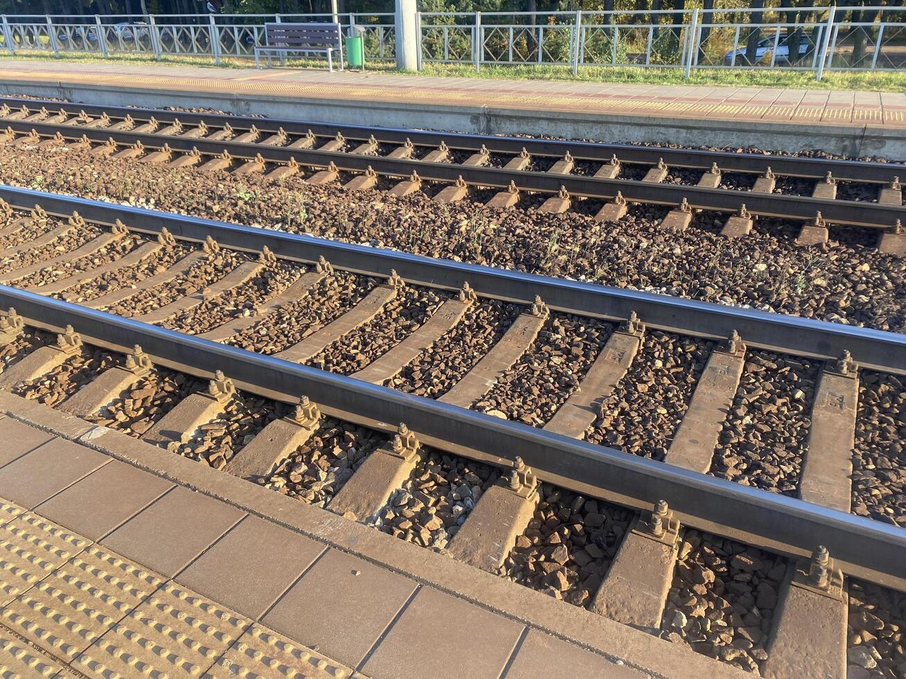 Railroad. Rails. Sunny day photo