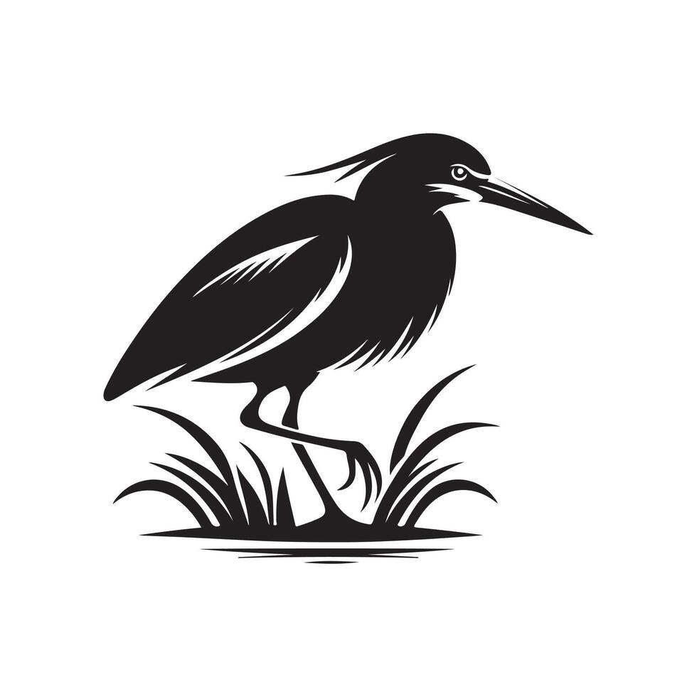 High-Resolution Green Heron Silhouette Vectors for Print and Web Use