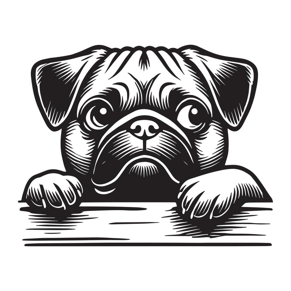 Pug Peeking dog Design vector