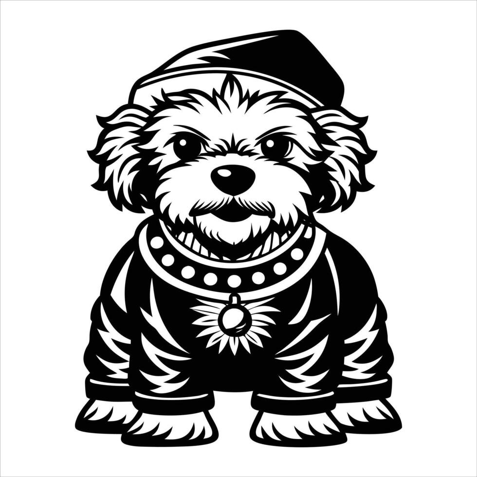 Cuddles and Coats The Bichon Frise Story vector