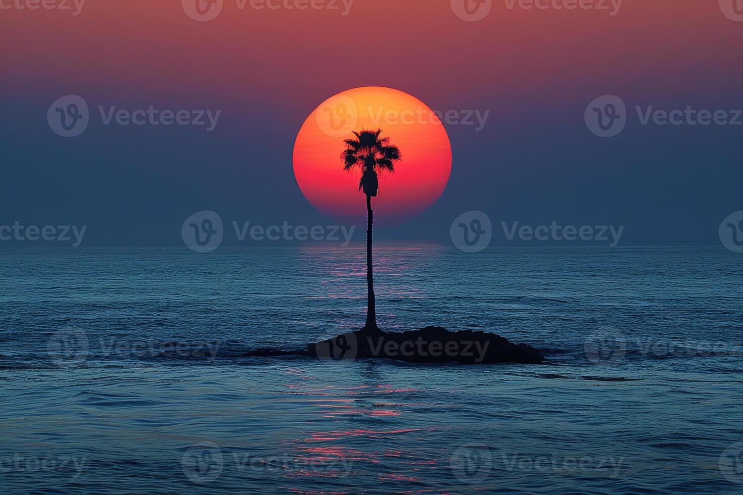 Solitary Palm Tree Silhouette Against a Setting Sun Over the Ocean photo
