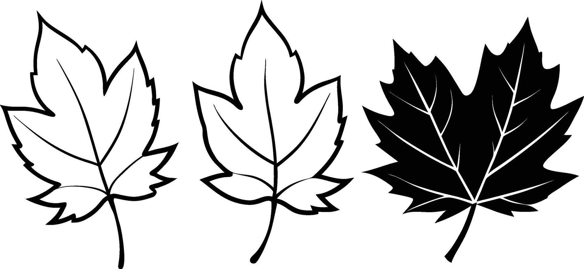 Silhouette of Autumn leave illustration. vector