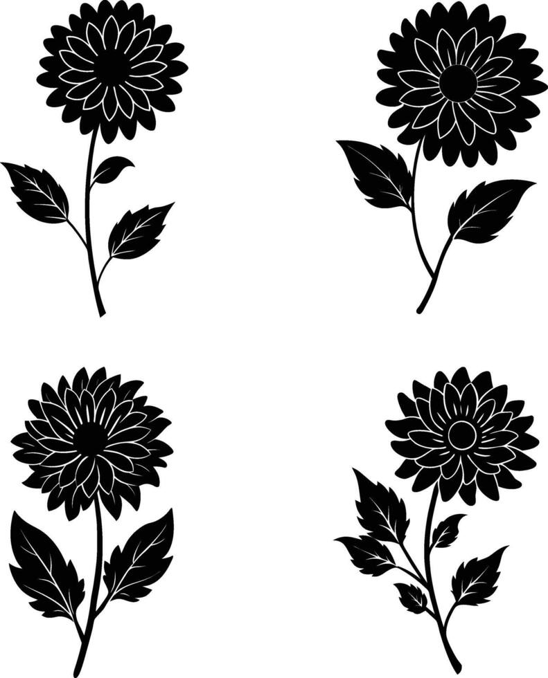 Black silhouette of Aster illustration vector