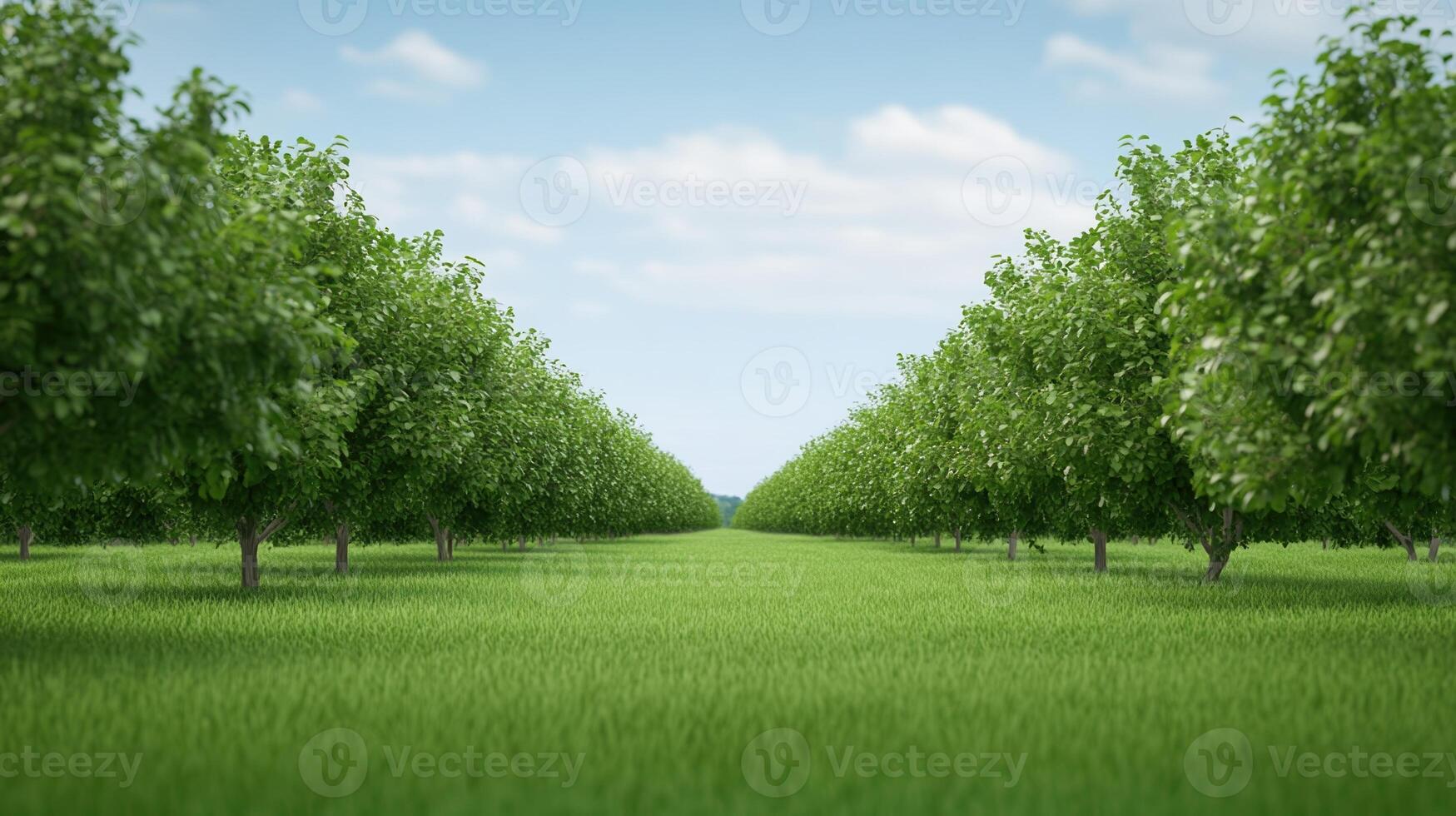 Symmetrical rows of green trees in a grassy orchard under a clear blue sky. Nature and agriculture concept. Wide-angle outdoor view for design and print. photo