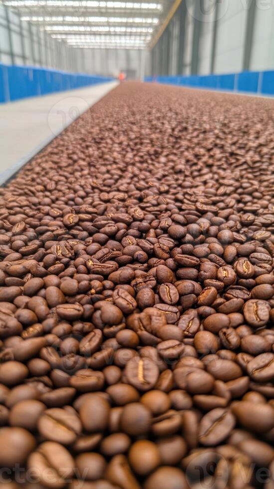 Freshly Roasted Coffee Beans on Conveyor Belt in Modern Factory Setting with Industrial Background Showcasing Processing, Production, and Aroma of Brewed Coffee in Large-Scale Manufacturing photo