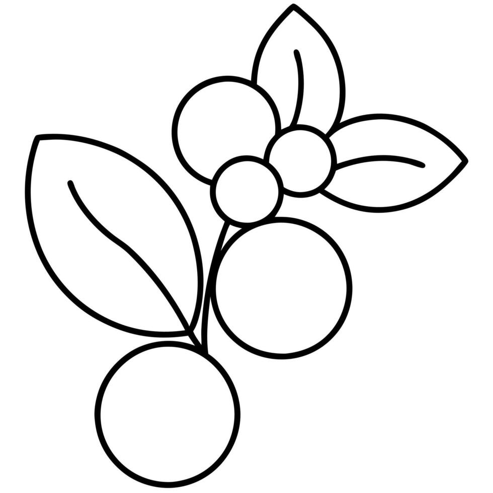 Coloring page line art sea buck thorn vector