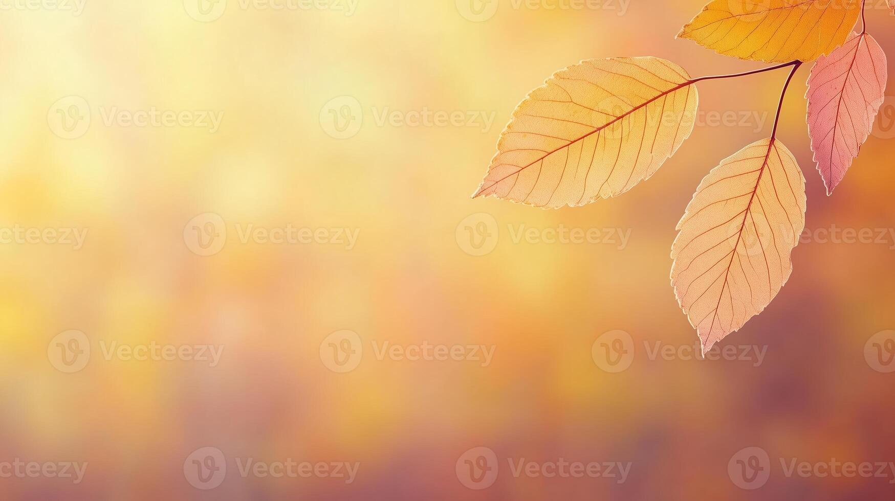 Autumn Leaves Background With Falling Leaf Animation and Soft Bokeh for Seasonal Design Purposes photo