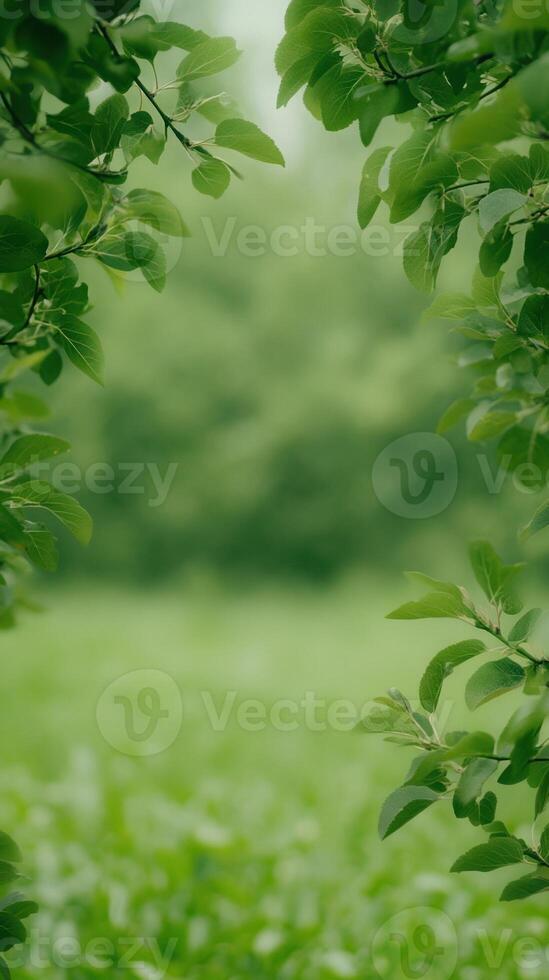 Lush Greenery Through Leafy Archway at Ephemeral Orchard, Ideal for Nature Backgrounds or Seasonal Designs Focused on Tranquility and Growth Themes photo